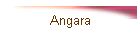 Angara