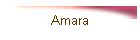 Amara