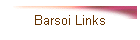 Barsoi Links