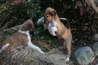 Links: Coljuschka. Rechts: Crassny. 09.02.05. Foto: Barbara Wickli