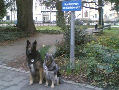 Ron und Harry; Klinik Freiburg, 26. Mrz 2005